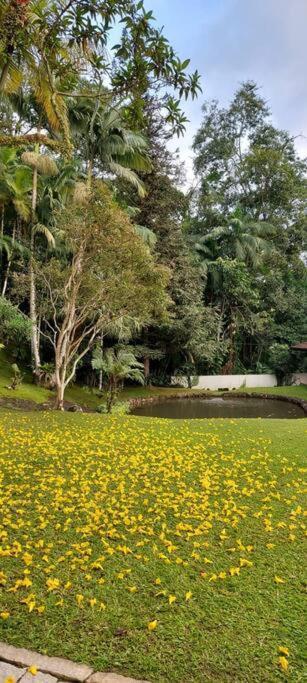 Berghaus - Casa Da Colina Villa Pomerode Esterno foto